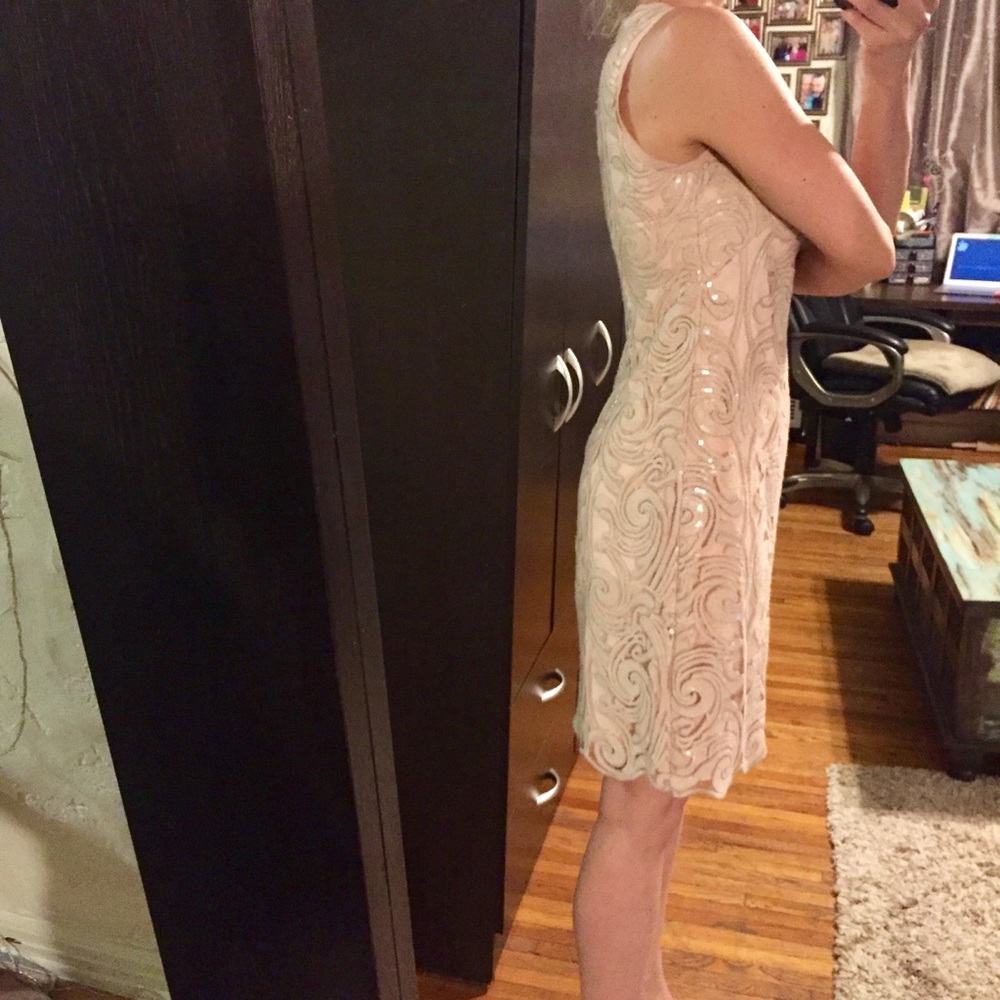 Vince Camuto Blush Lace Dress - Picture 13 of 13